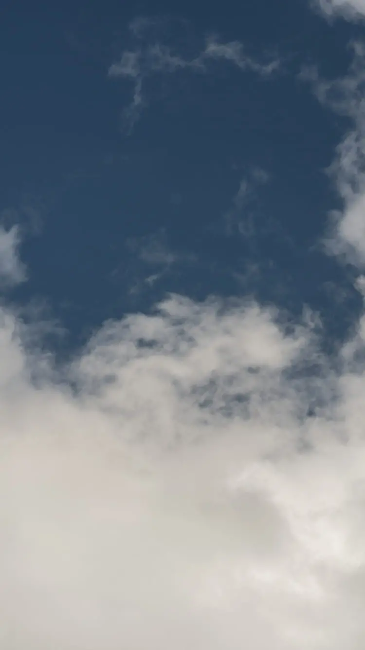 COLOR YOUR LIFE WITH FASHION & SPORT